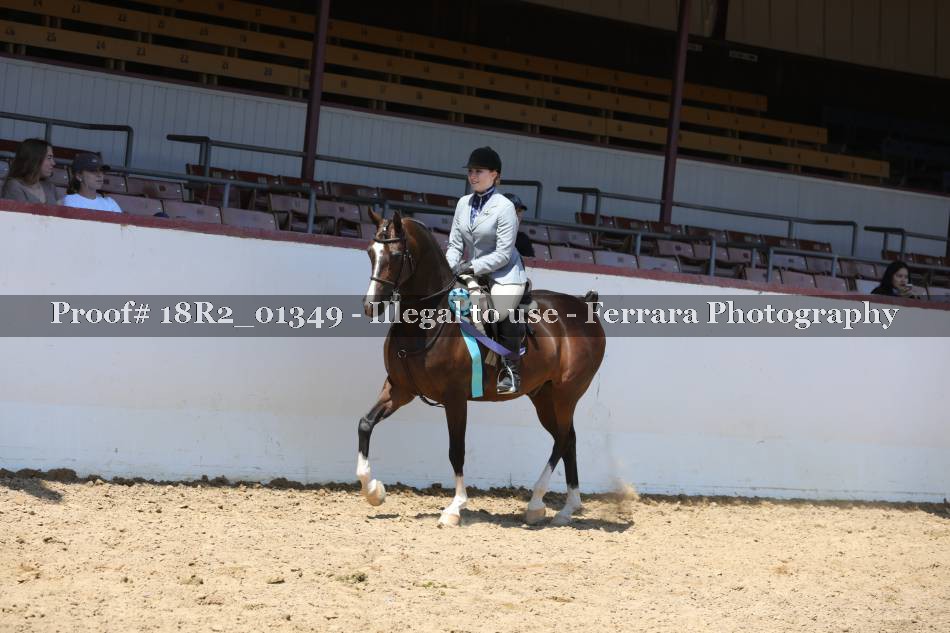 Proof 18R2_01349
