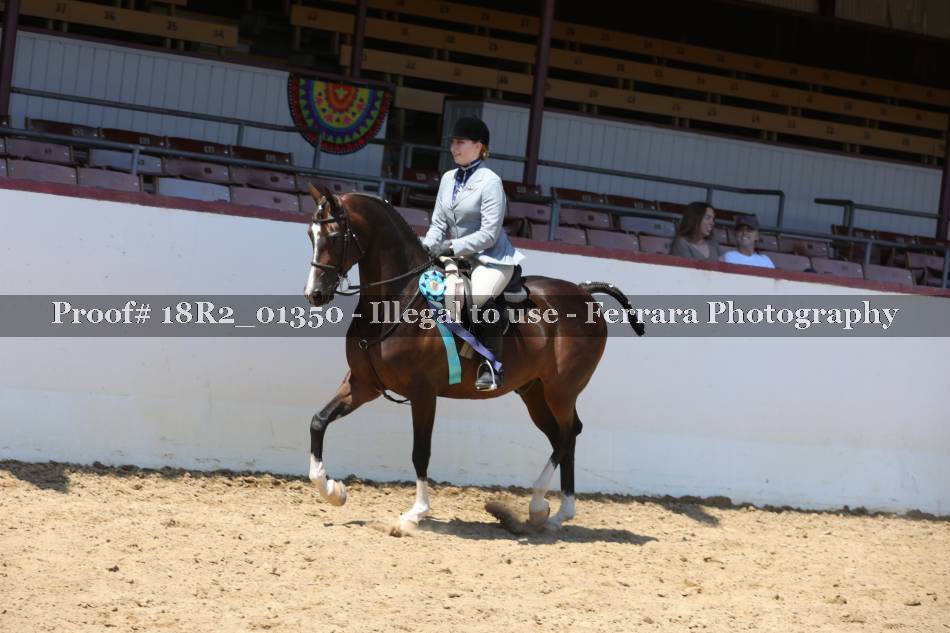 Proof 18R2_01350