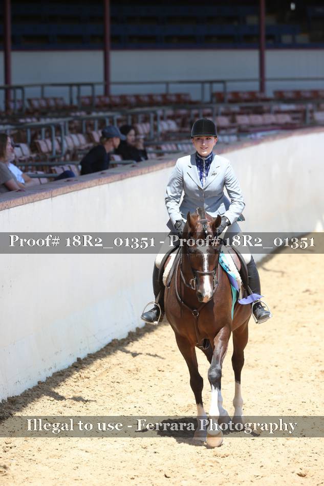 Proof 18R2_01351