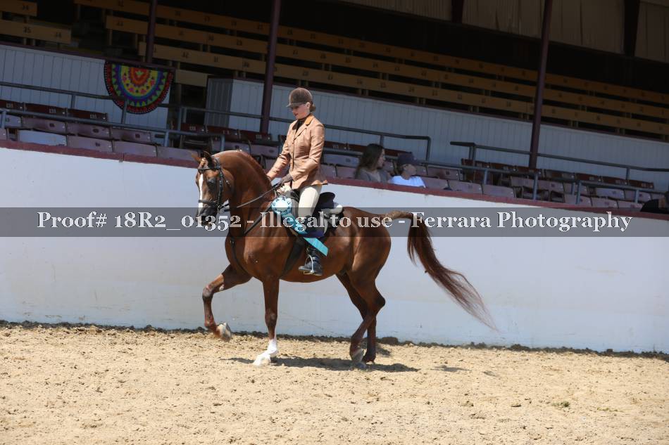 Proof 18R2_01352