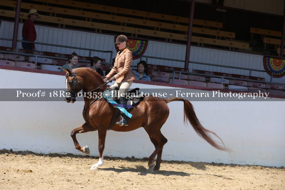 Proof 18R2_01353
