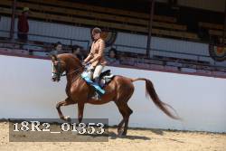 18R2_01353 proof