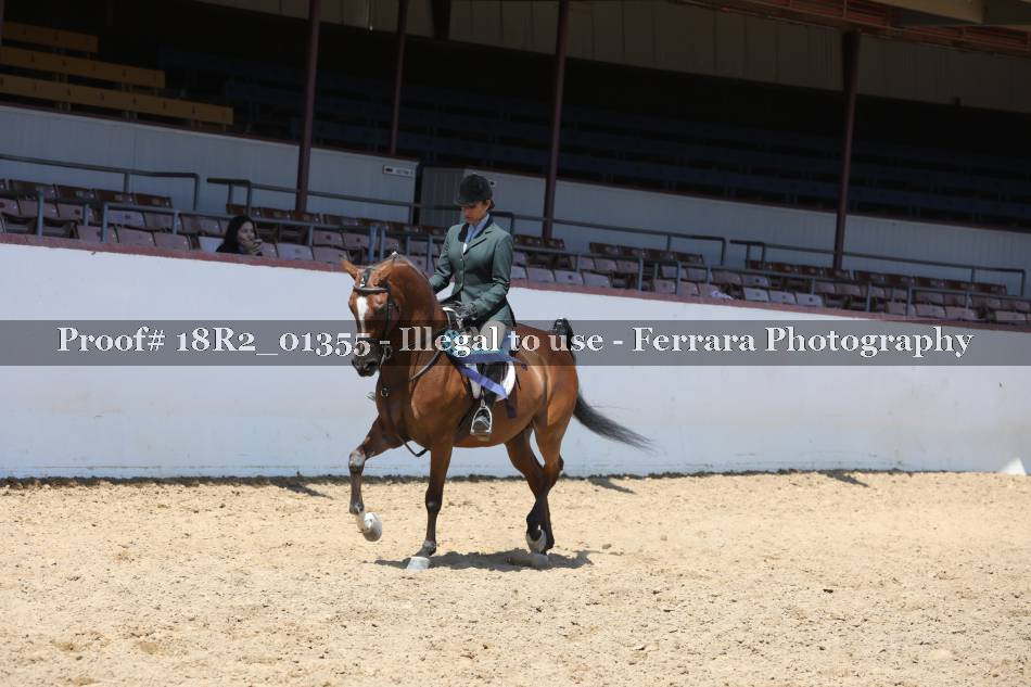 Proof 18R2_01355
