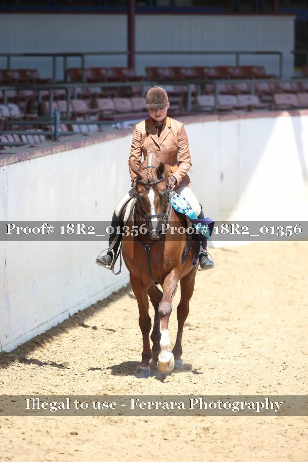 Proof 18R2_01356