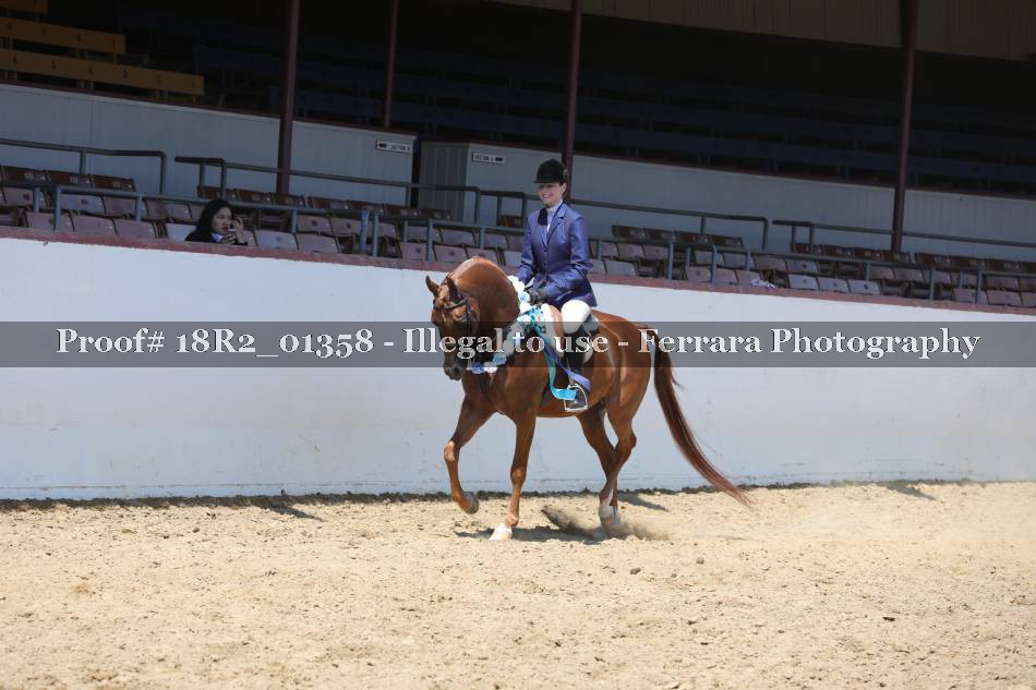 Proof 18R2_01358