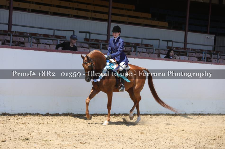 Proof 18R2_01359