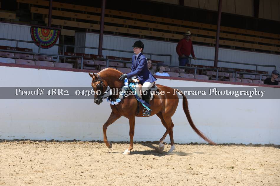 Proof 18R2_01360