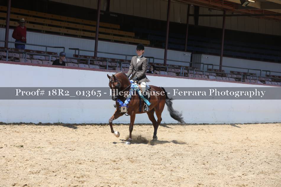 Proof 18R2_01365