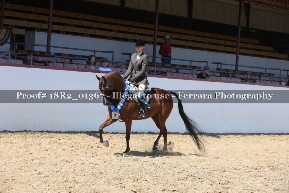 Proof 18R2_01367