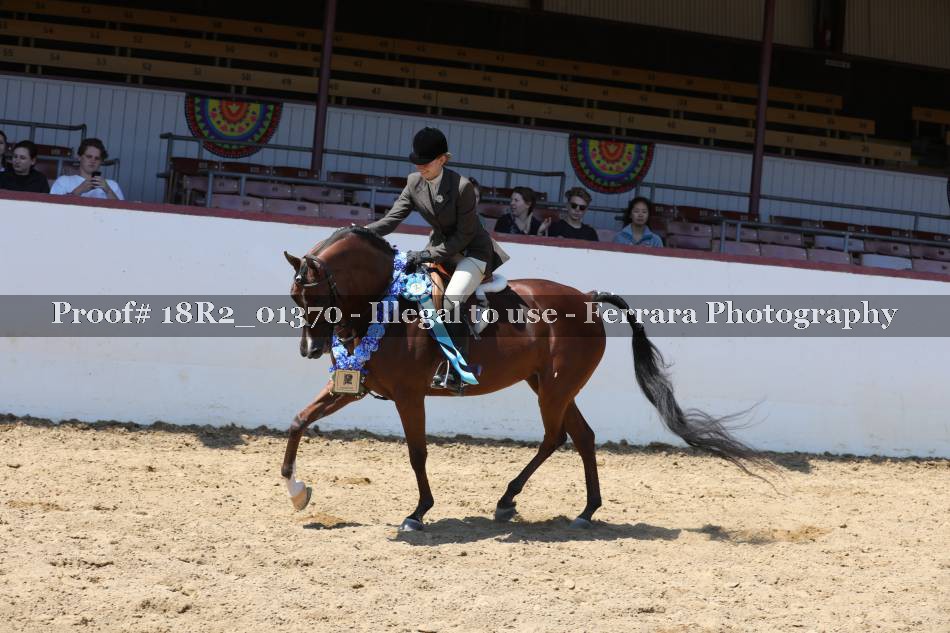 Proof 18R2_01370