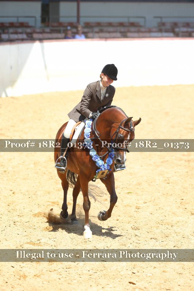 Proof 18R2_01373