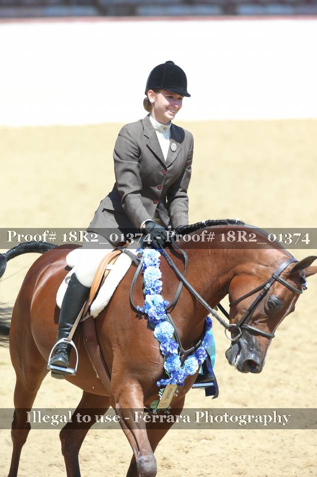 Proof 18R2_01374