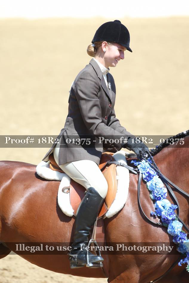 Proof 18R2_01375