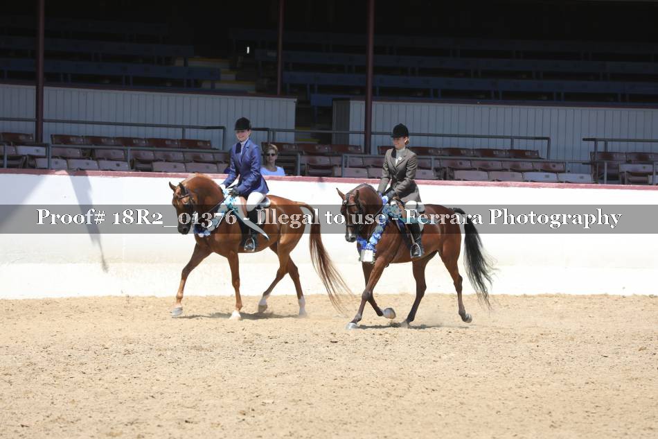 Proof 18R2_01376