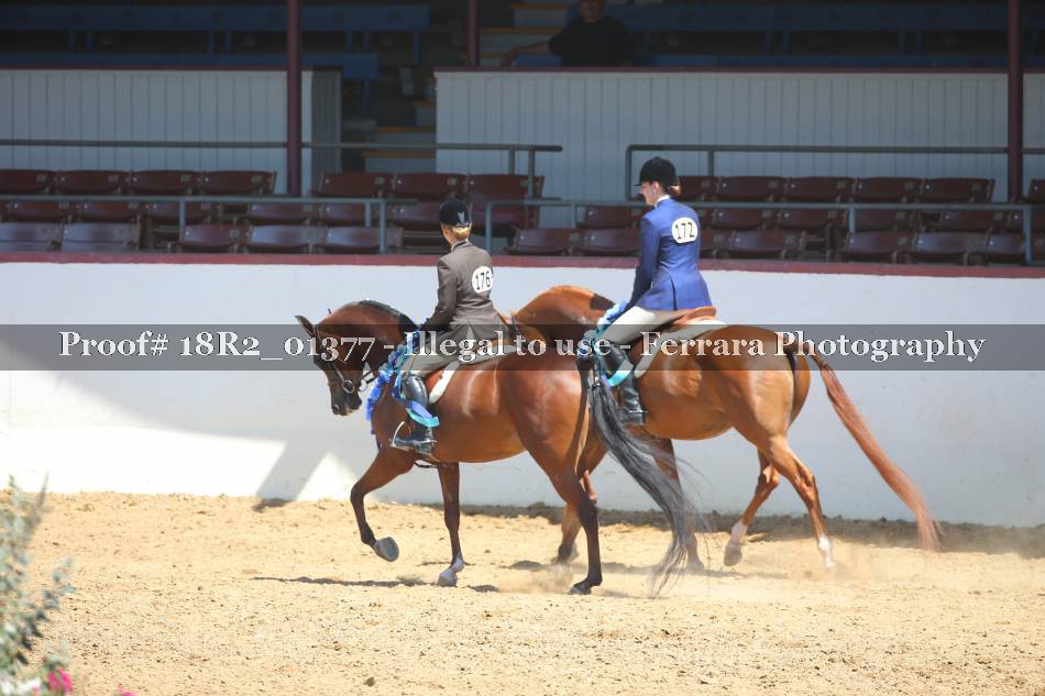 Proof 18R2_01377