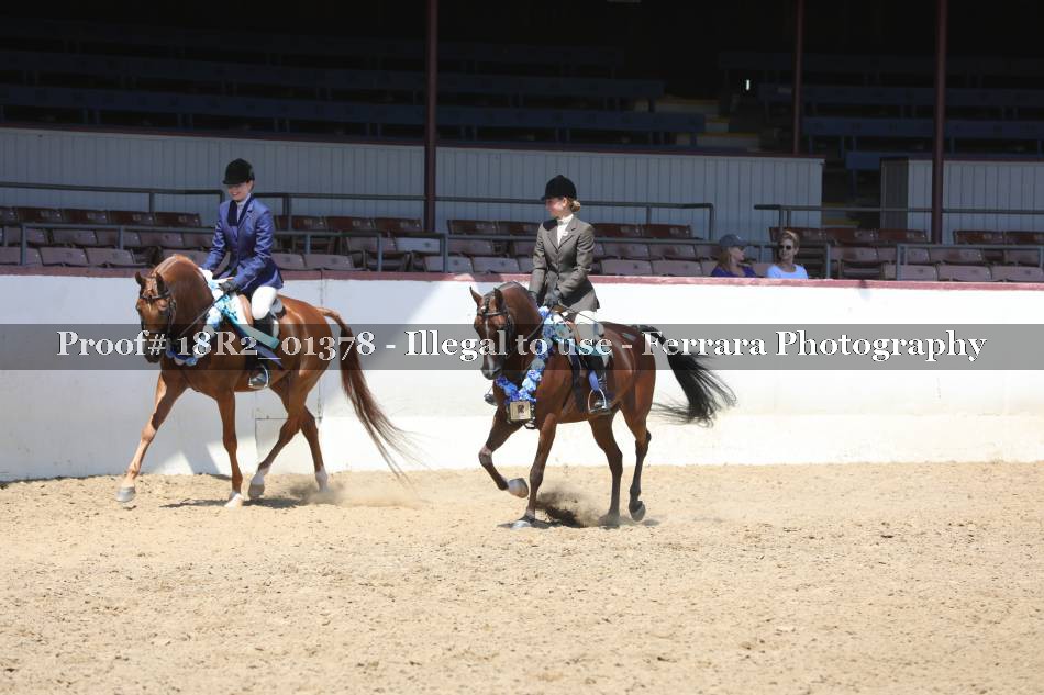 Proof 18R2_01378