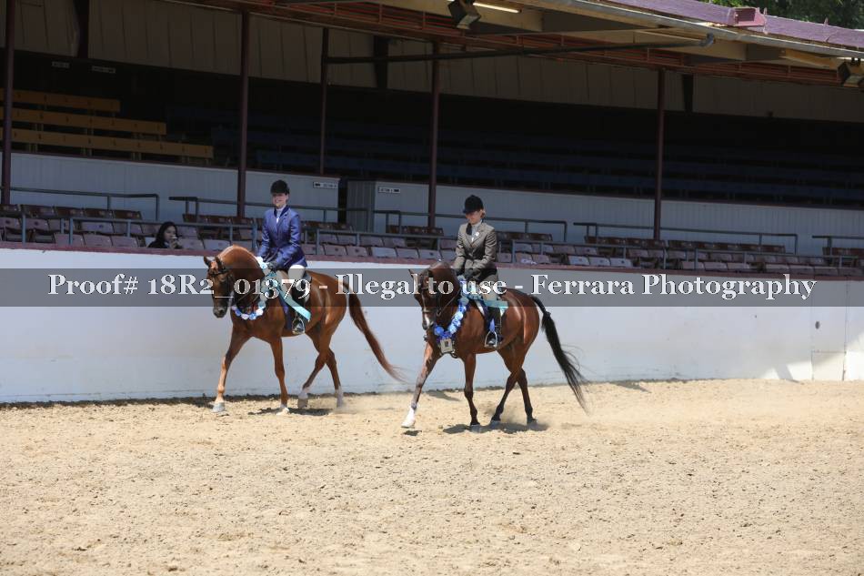 Proof 18R2_01379