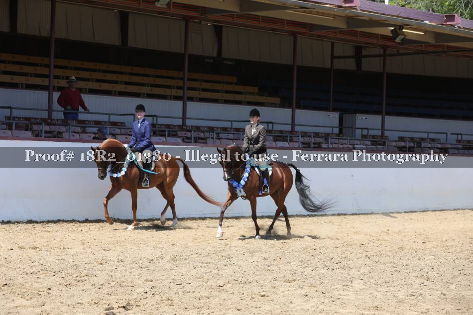 Proof 18R2_01380