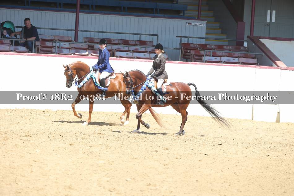 Proof 18R2_01381