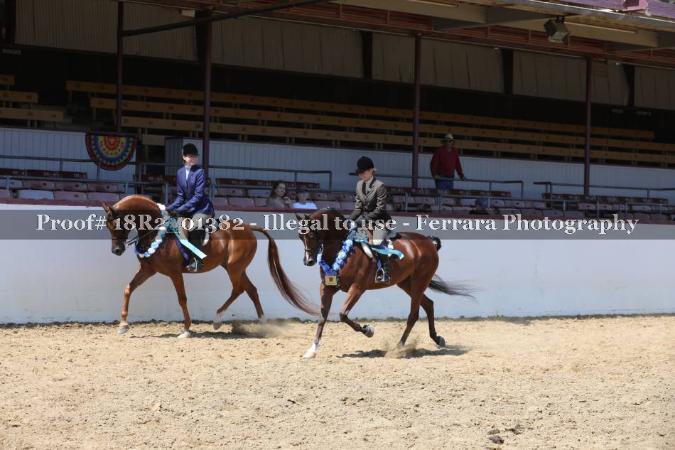 Proof 18R2_01382