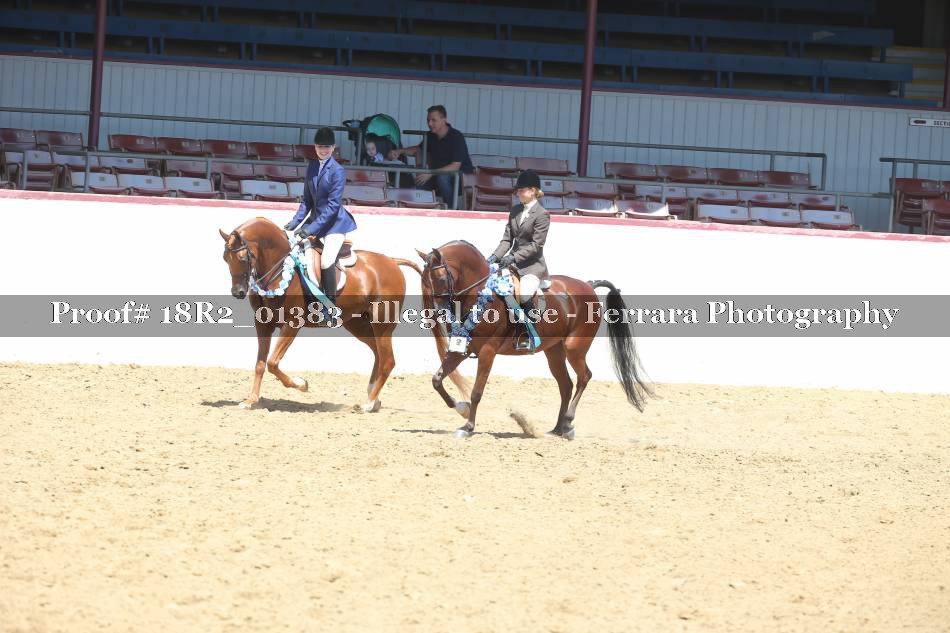 Proof 18R2_01383