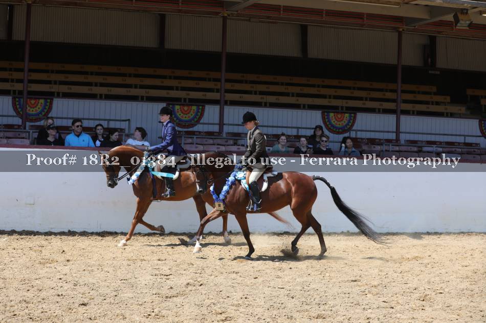 Proof 18R2_01384