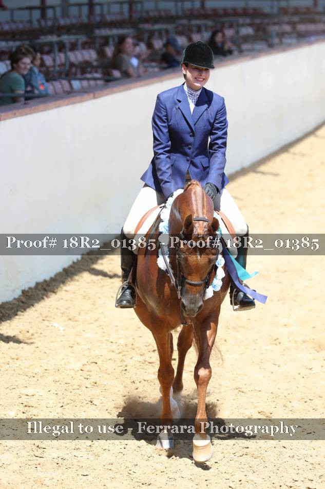 Proof 18R2_01385