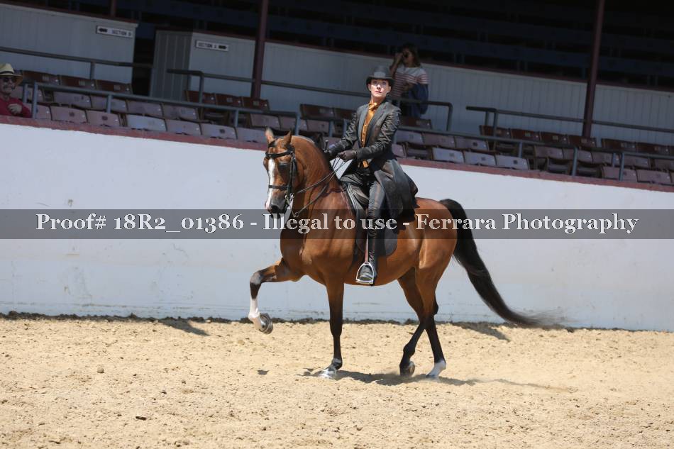 Proof 18R2_01386