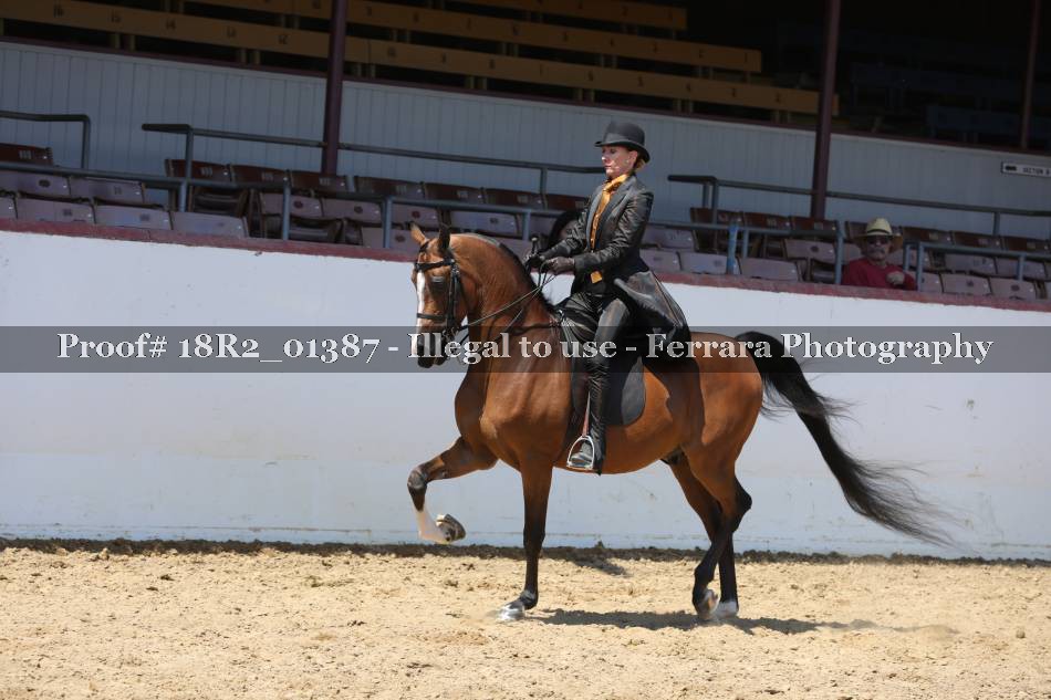 Proof 18R2_01387