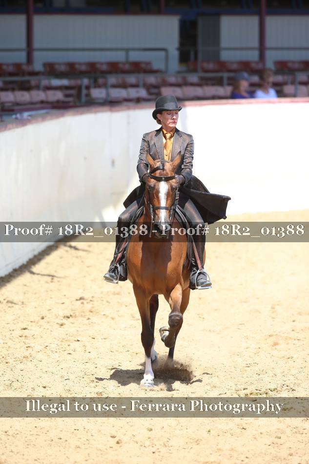 Proof 18R2_01388