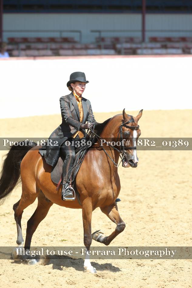 Proof 18R2_01389