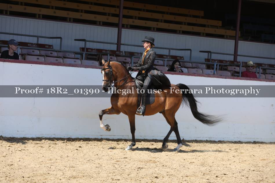 Proof 18R2_01390