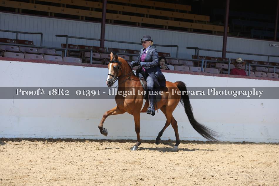 Proof 18R2_01391