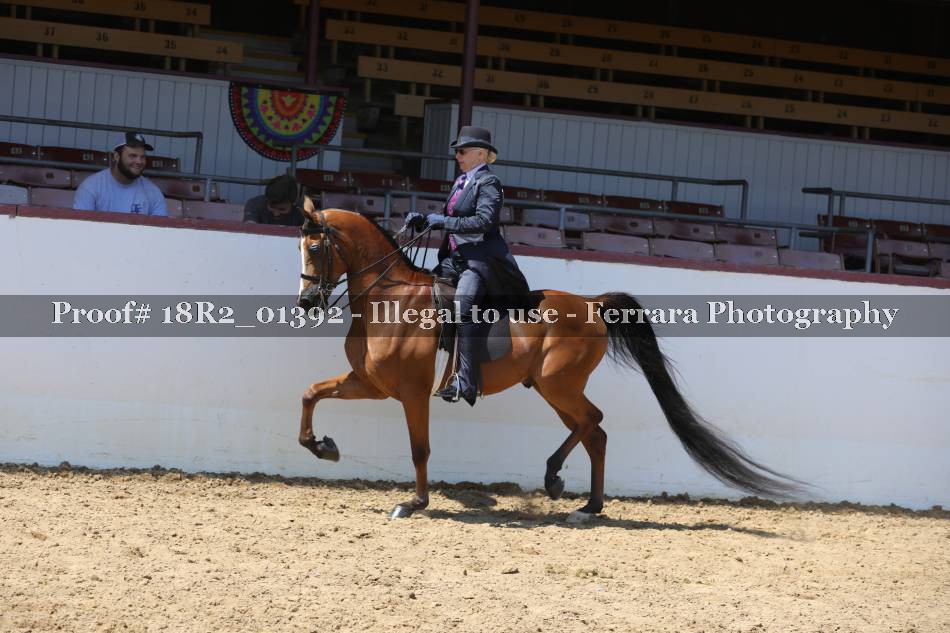 Proof 18R2_01392