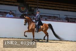 18R2_01392 proof