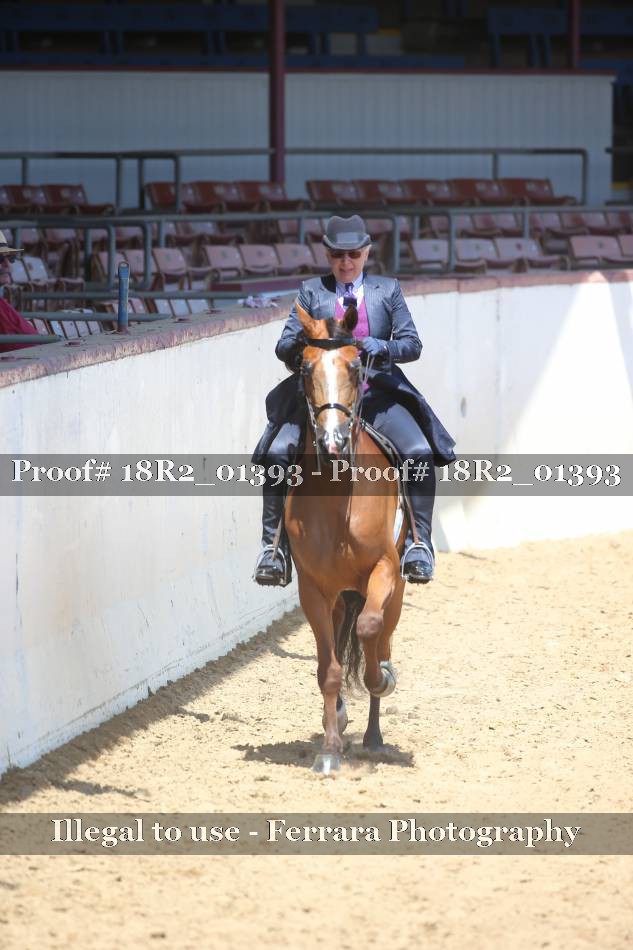 Proof 18R2_01393