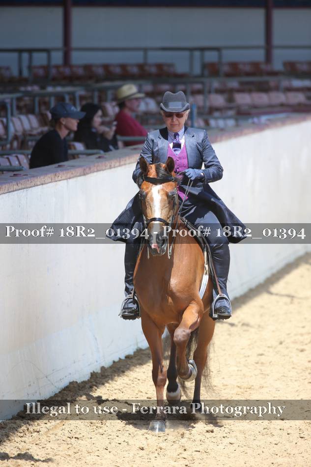 Proof 18R2_01394