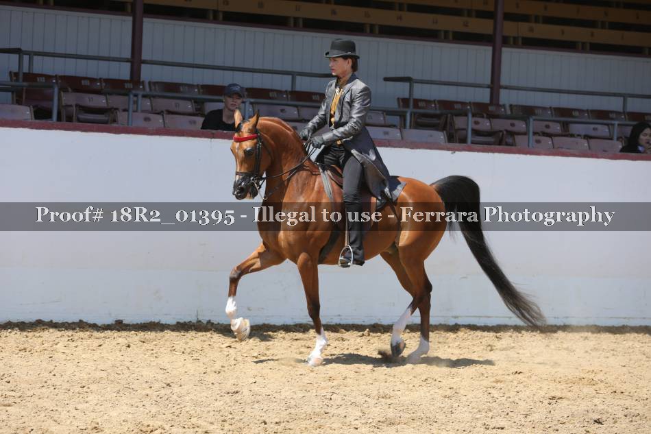 Proof 18R2_01395