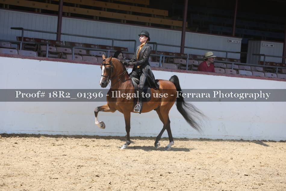 Proof 18R2_01396