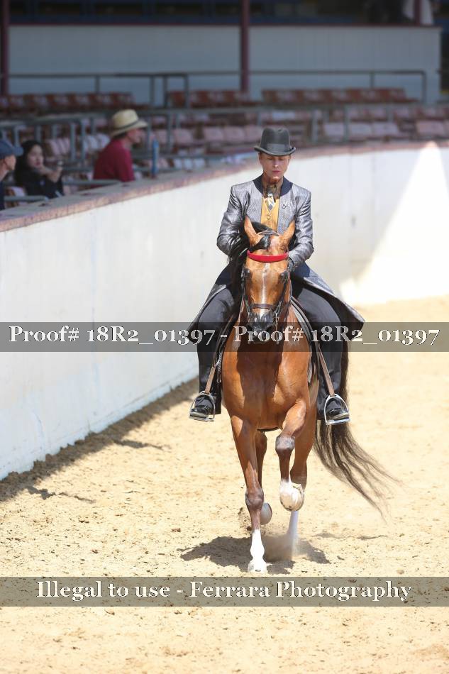 Proof 18R2_01397