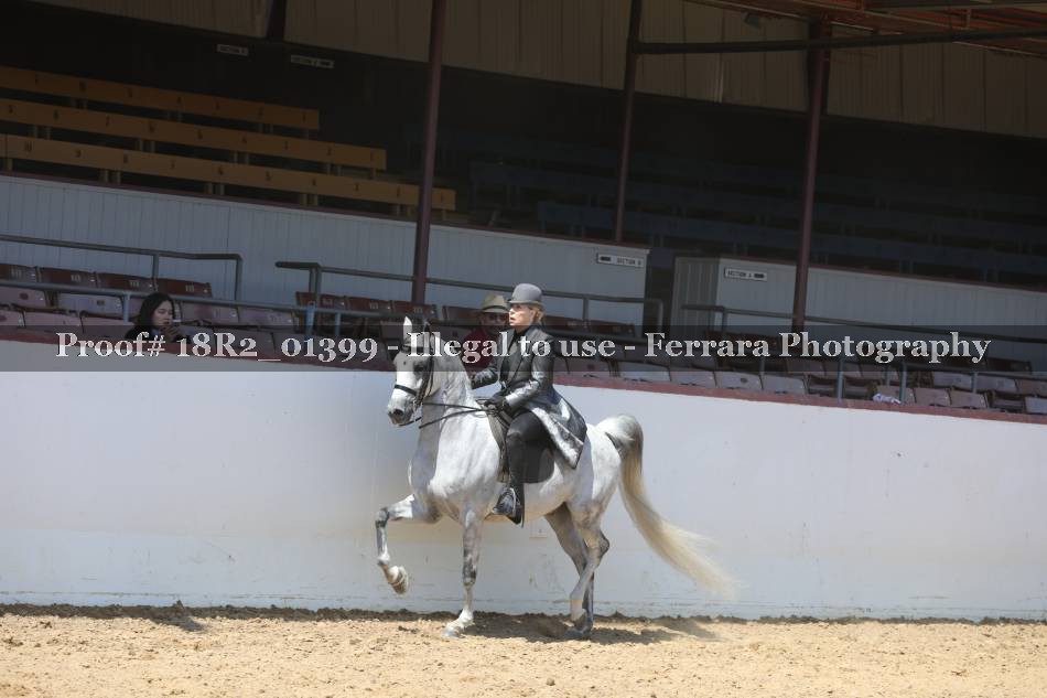 Proof 18R2_01399