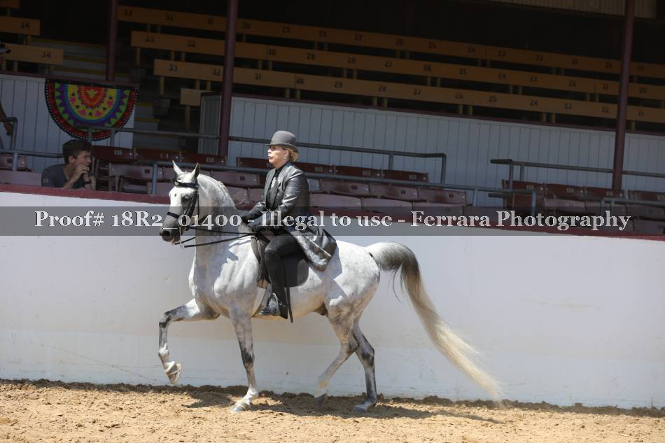 Proof 18R2_01400