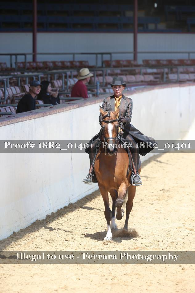 Proof 18R2_01401