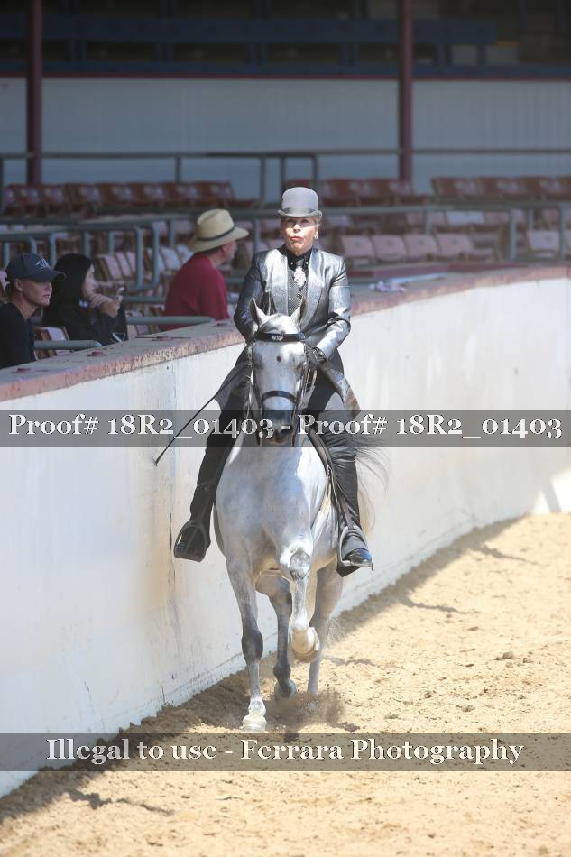 Proof 18R2_01403