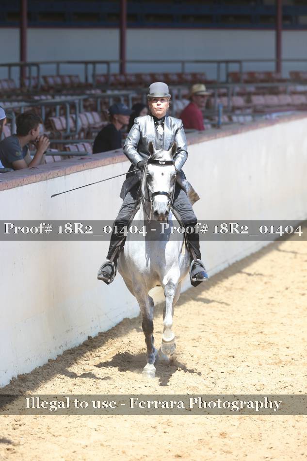 Proof 18R2_01404