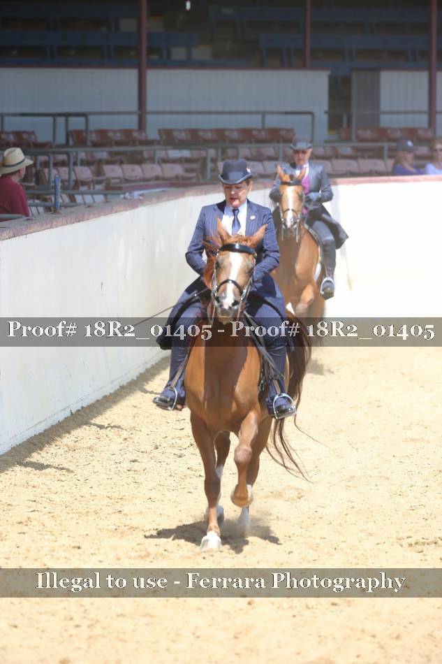 Proof 18R2_01405
