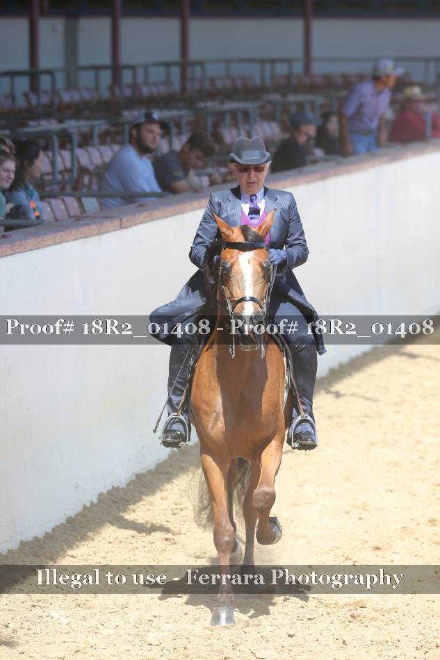 Proof 18R2_01408