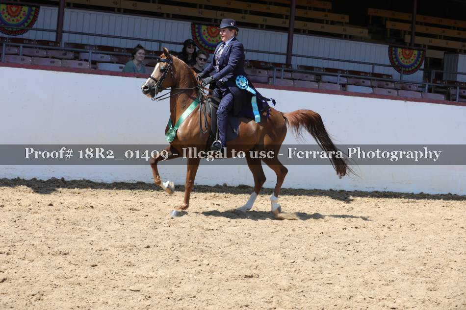 Proof 18R2_01409