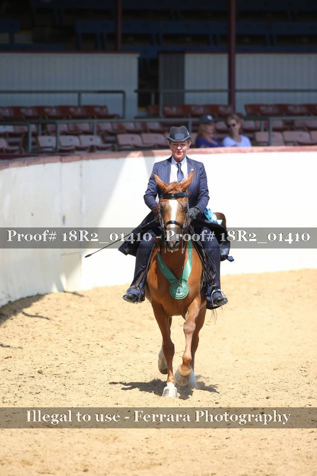 Proof 18R2_01410