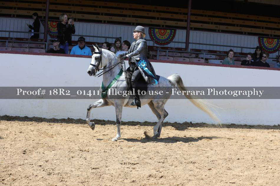 Proof 18R2_01411